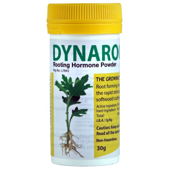 Dynaroot 1 Rooting Hormone Powder (30g)