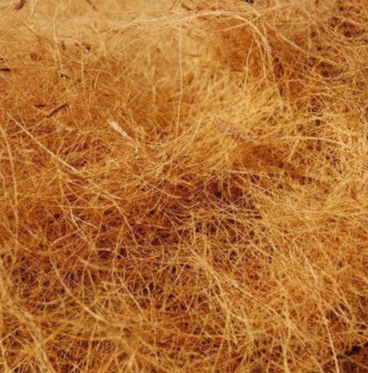 500g Coir