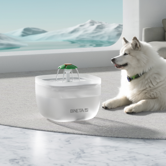 BNETA W7 Automated 2L Pet Water Fountain