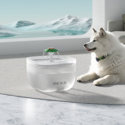 BNETA W7 Automated 2L Pet Water Fountain
