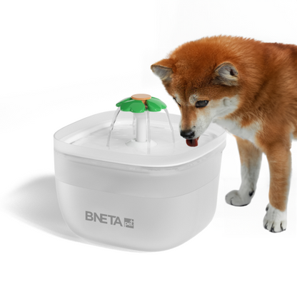 BNETA W7 Automated 2L Pet Water Fountain