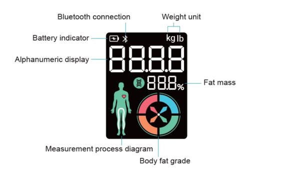 BNETA CS20M Smart Body Scale – Bluetooth Body Composition Analyzer