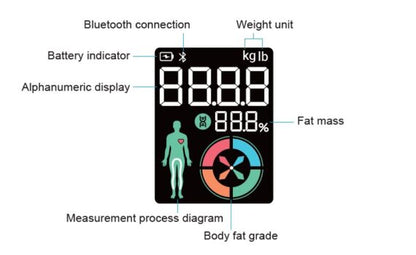 BNETA CS20M Smart Body Scale – Bluetooth Body Composition Analyzer
