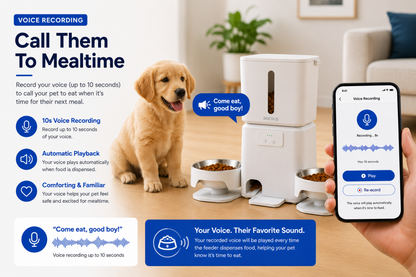 BNETA F24-DW Smart Wi-Fi Dual Automatic Pet Feeder – 6L
