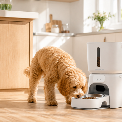 BNETA F24-W Smart Wi-Fi Automatic Pet Feeder | App Controlled 6L Feeder