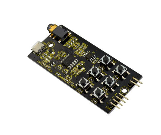 MP3 MUSIC READ & PLAYING BOARD - MP3 / WAV / WMA KS0387