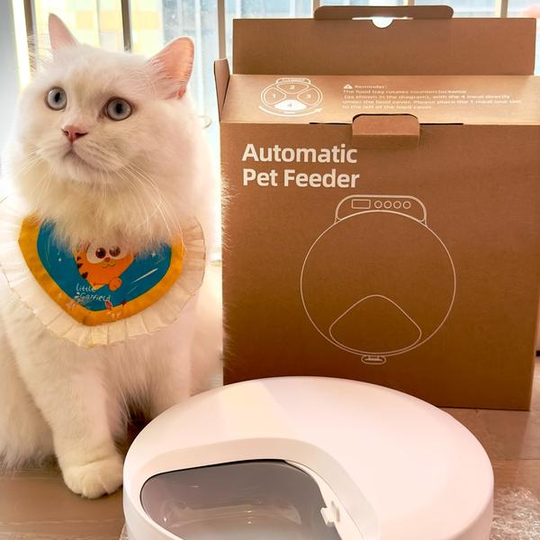BNETA Pet Automatic Wet Food Battery Feeder F26