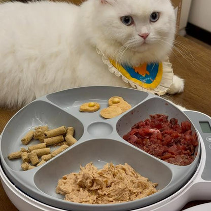 BNETA Pet Automatic Wet Food Battery Feeder F26