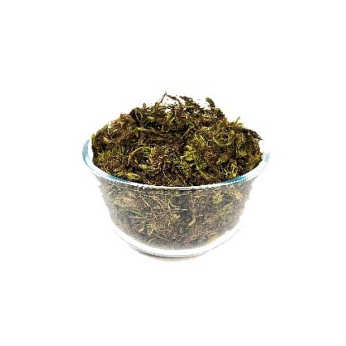 Green Dried Moss 200g Packet
