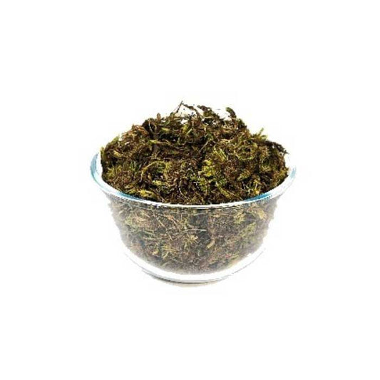 Green Dried Moss 200g Packet
