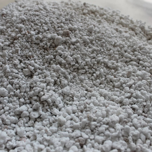 500g Perlite Packet